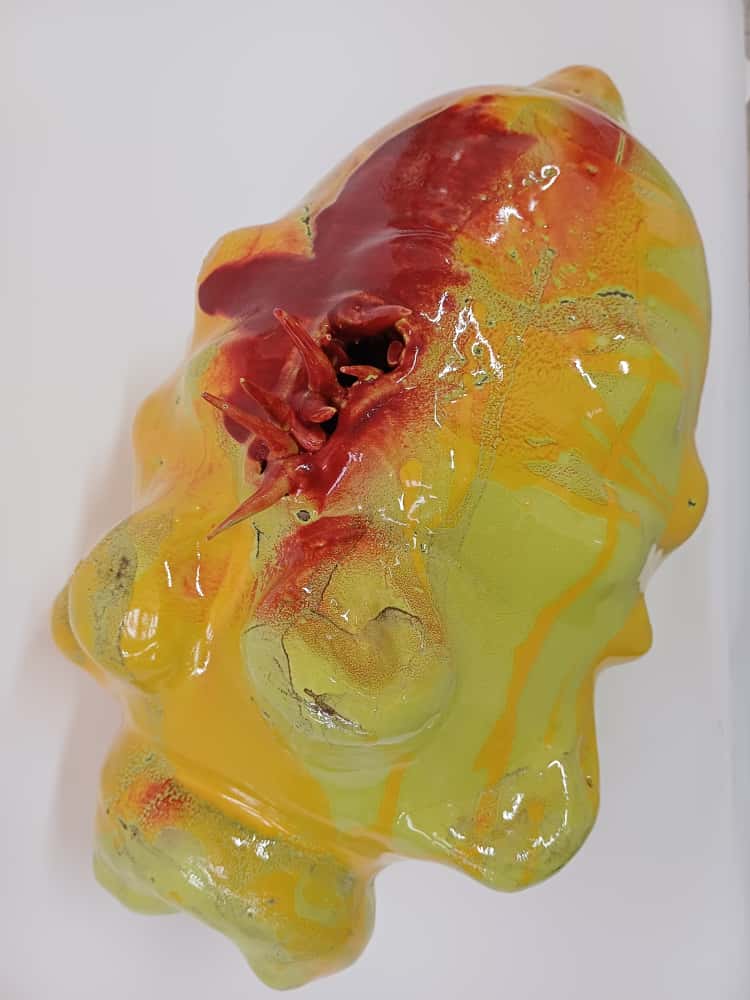 What I Couldn’t Say